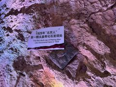 -周口店北京人遗址公园