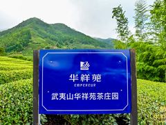 -华祥苑茶馆•国缤茶小蓝罐(普罗旺斯店)