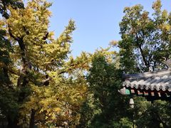 -香山公园