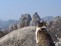 -崂山巨峰游览区
