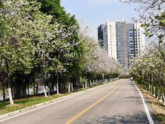 -广东花都湖国家湿地公园