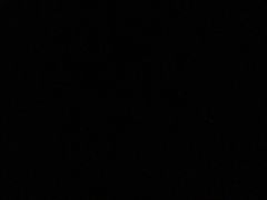 -面面俱到陈氏烧烤(菊泉街店)