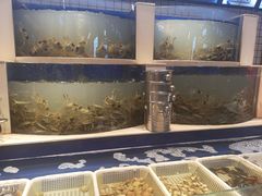 水产区-海天盛宴新派海鲜自助餐厅(群力店)