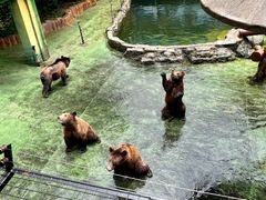 -深圳野生动物园