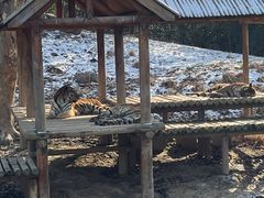 -扬州市茱萸湾风景区