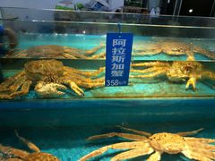 -学府海鲜批发市场