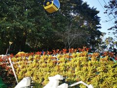 -白云山索道-售票处