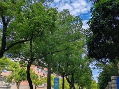 -上海大学(嘉定校区)
