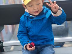 -琴岛之星摩天轮