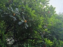-浙江大学(玉泉校区)