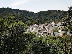 -树山生态村