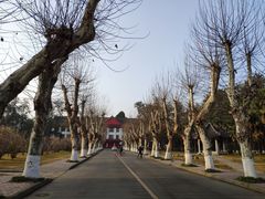 -四川大学(望江校区)