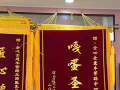 -全心全意连锁动物医院·微创中心·内科急重症·心脏专科(丰管路店)