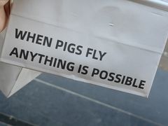-WHEN PIGS FLY当猪飞