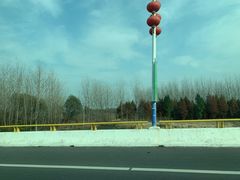 -溱湖国家湿地公园