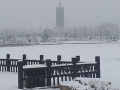 -西海子公园