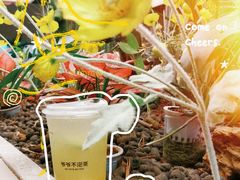 -Wood Garden(合生汇店)