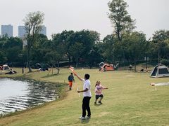 -桐乡凤凰湖