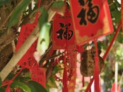 -东莞市大岭山森林公园