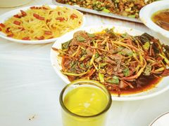 -铁山坪森林公园