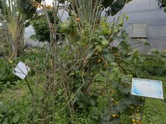 -新地休闲农场