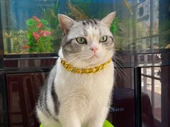 -百金通黄金回收首饰定制维修(珠江路总部)