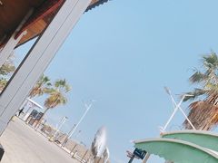 -大湾区中央湿地公园-十九涌