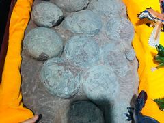 -志强陨石馆(双季花艺店)