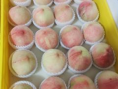 -老袁家蜜桃农场·阳山水蜜桃