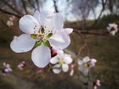 -长春公园(普阳街道)