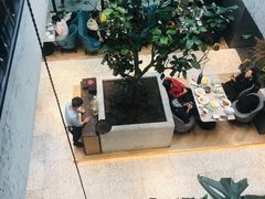 -大树餐厅(红旗街万达店)