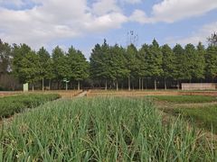 -柳鹭田园区