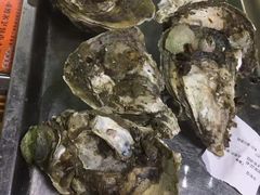 -大富蚝乌东哥饭店·石锅鱼杂·柠檬鸭(革新路店)