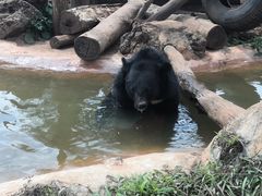 -海南热带野生动植物园