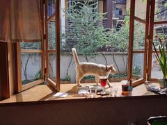 -懒鱼时光馆(沙坪坝店)