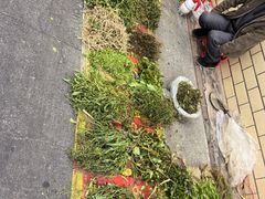 -飞燕粿汁