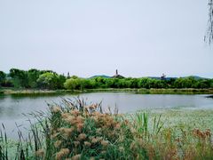 -北坞公园