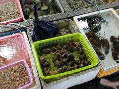 东风螺-霞涌市场海鲜摆卖区