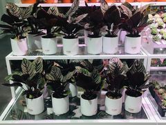 -KKV(重庆东原悦荟主力店)