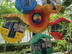 -南宫五洲植物乐园