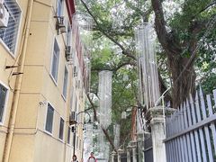 -烟台山景区