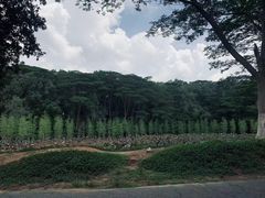 -番禺大夫山森林公园