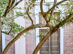 -香港大学