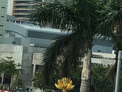 -金莲花广场