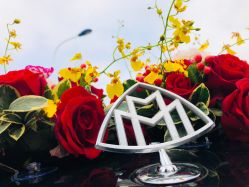 -宁波甬诚婚车(新典路店)