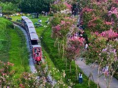 -武汉紫薇都市田园