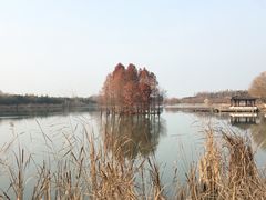 -尚湖风景区
