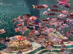 -亚龙湾海底世界