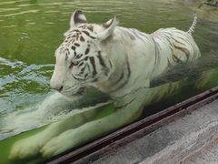 -杭州野生动物世界