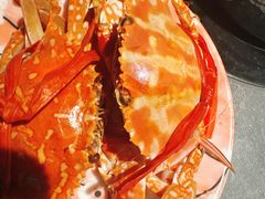 -曼格蒸汽活海鲜·榴莲自助(皇庭广场店)
